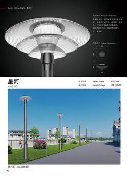 2025ƷƼ-20